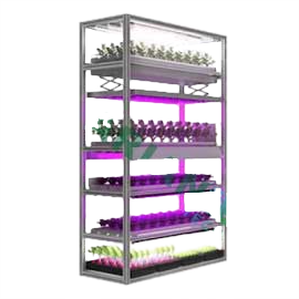 Others: Horticultural, Tiered Racks Light System